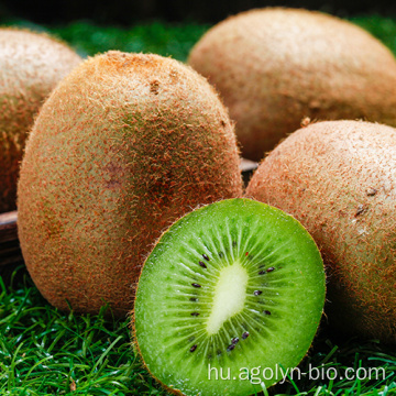 2021 Új növényi friss zöld kiwi gyümölcs